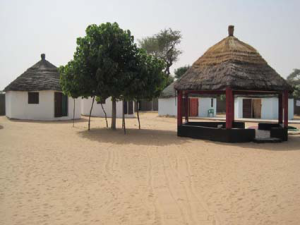 Diol Kadd Senegal